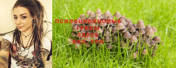 spice Баксан